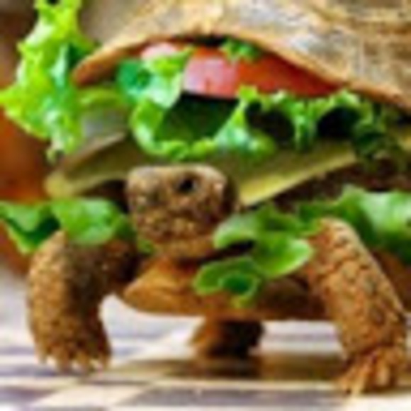 Meet your Posher, Lucidxotiic - Picture 1 of 1